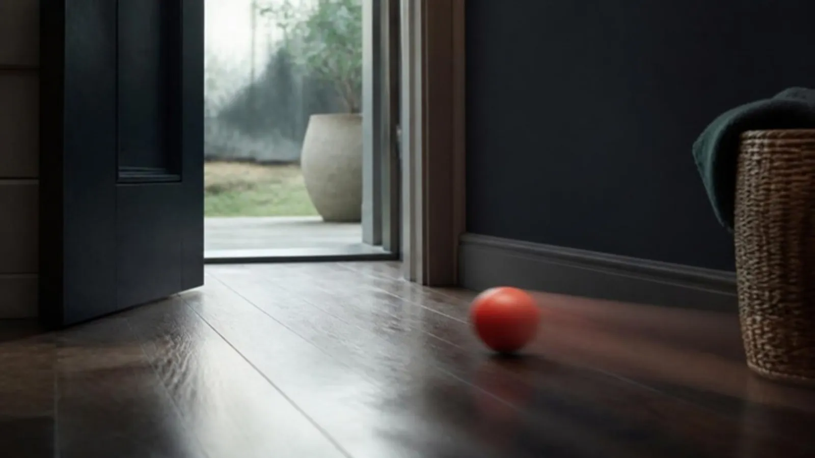 Ball springt durch eine offene Tür nach draußen auf Holzboden