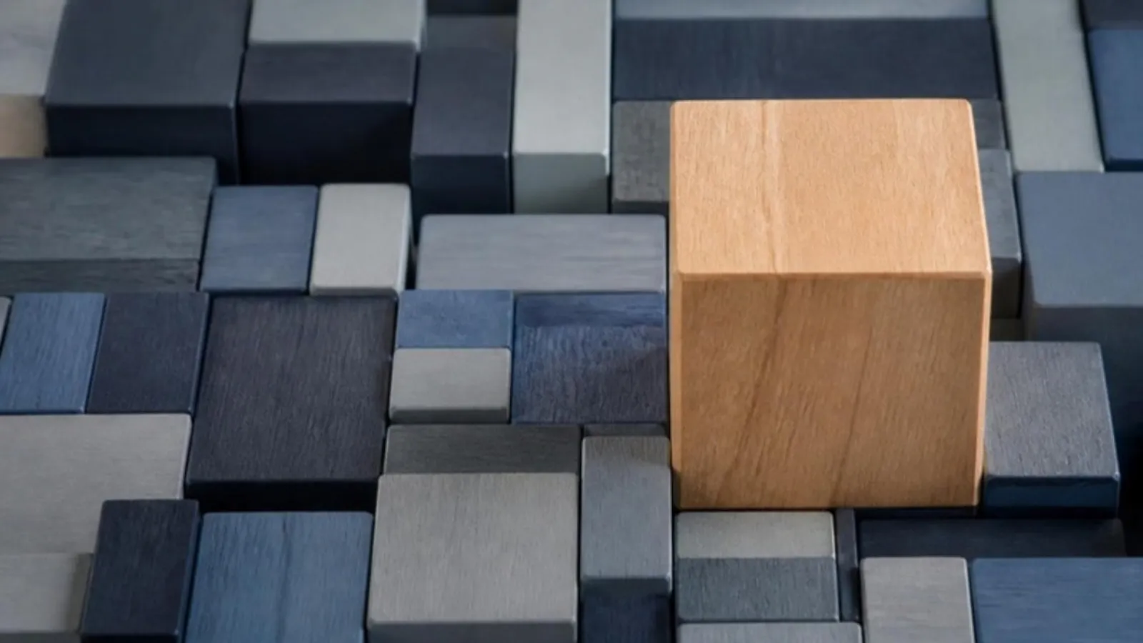Ein großer Holzblock steht zwischen mehreren kleineren Blöcken